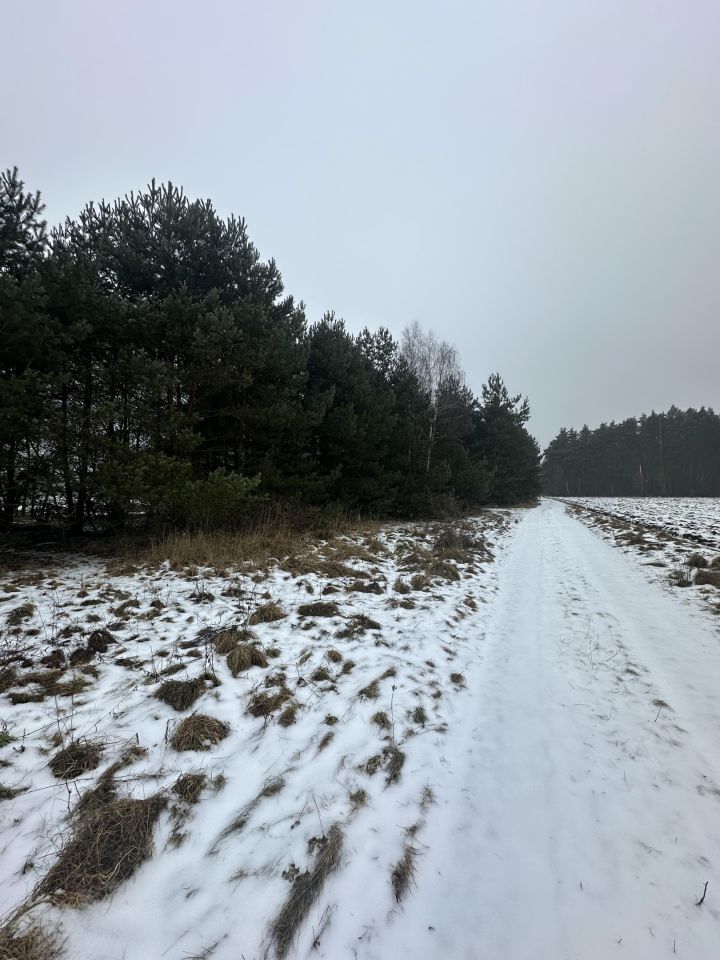 Działka rolno-budowlana Rogoźno, ul. Brzozowa. Zdjęcie 1
