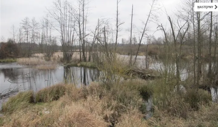 Działka rolna Szczekarków-Kolonia