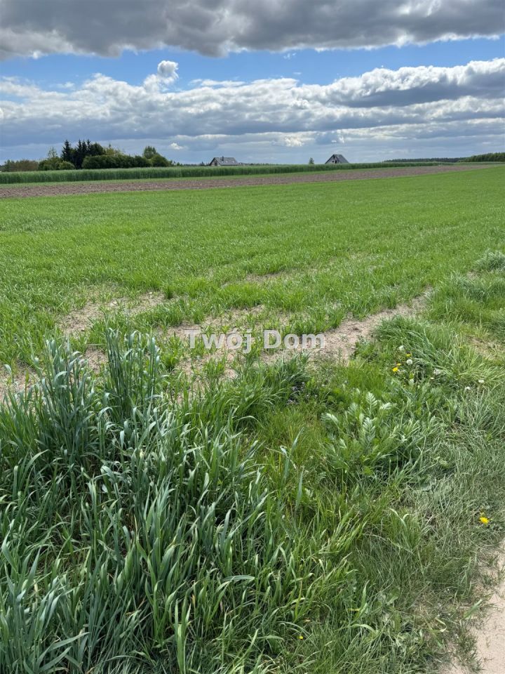 Działka rolna Stronno