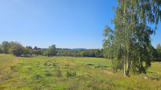 Działka siedliskowa Sady. Zdjęcie 2