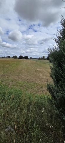 Działka rolno-budowlana Sułoszyn. Zdjęcie 1