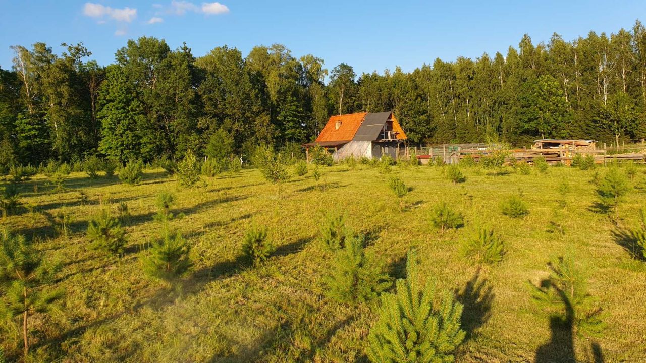 Działka budowlana Ostrowin. Zdjęcie 8