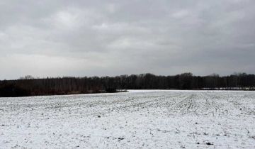 Działka rolna Lubnów, ul. Obornicka