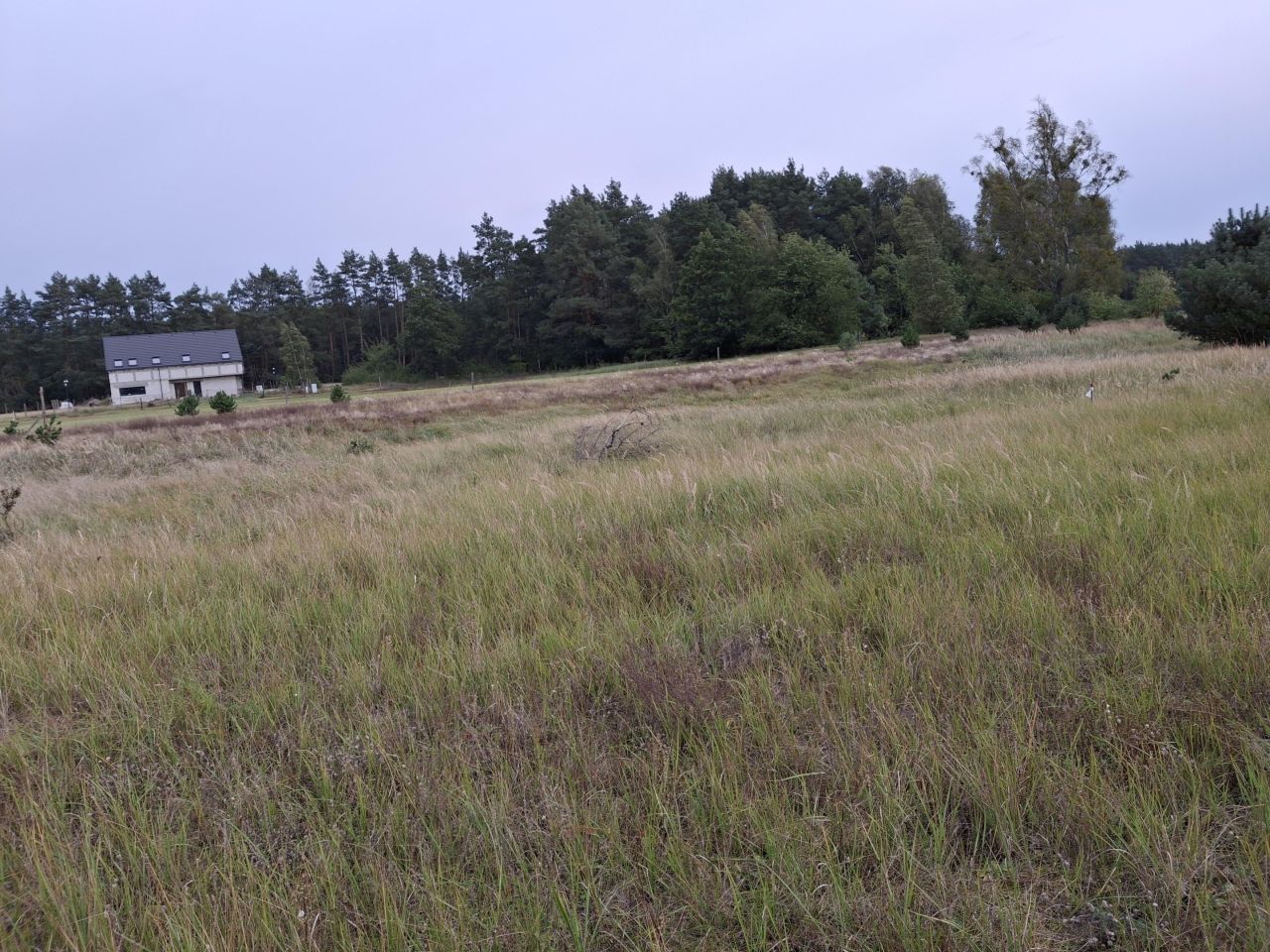 Działka budowlana Komarowo. Zdjęcie 4