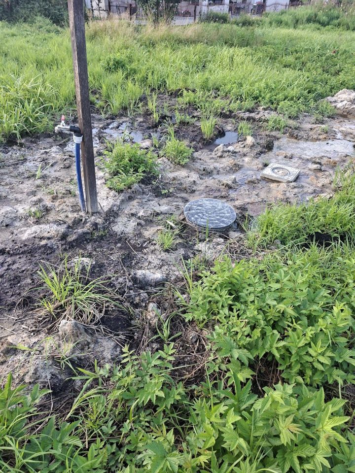 Działka inwestycyjna Widów. Zdjęcie 5
