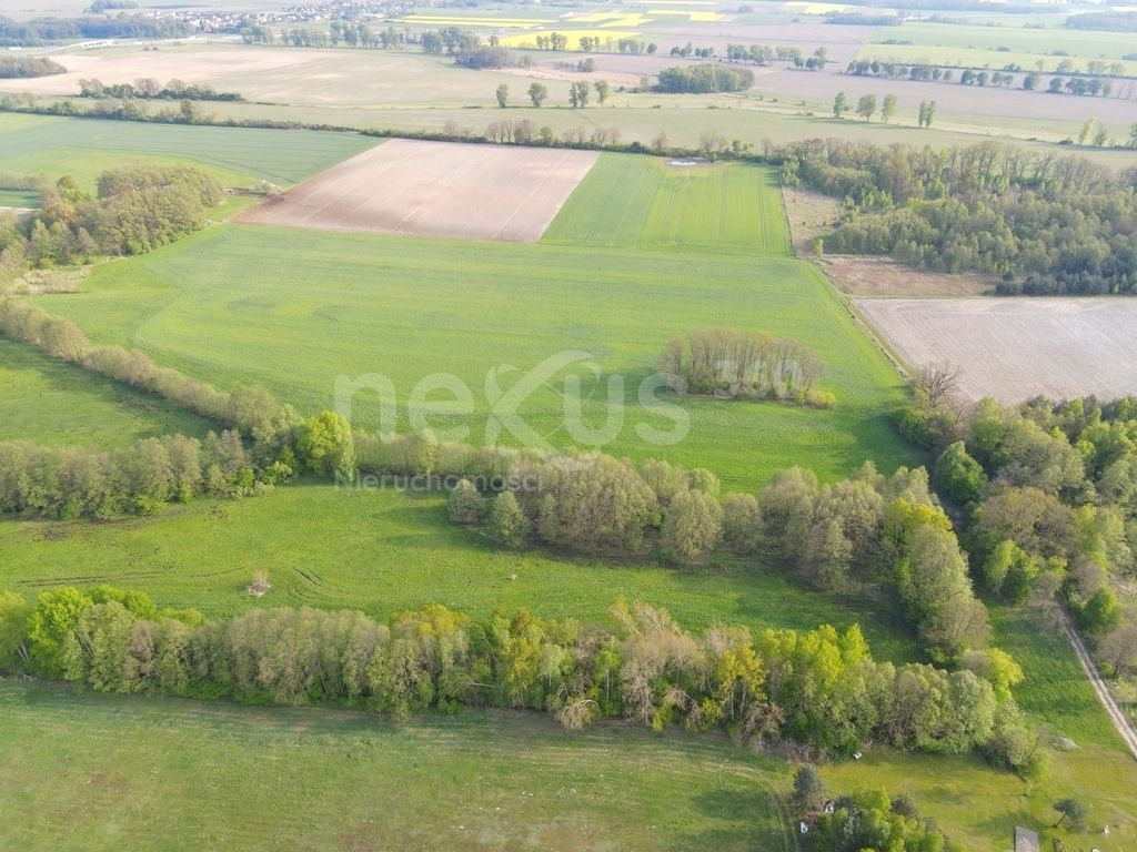 Działka Ostrowina. Zdjęcie 2