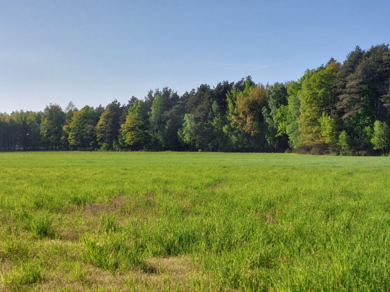 Działka rolno-budowlana Zamęty. Zdjęcie 21