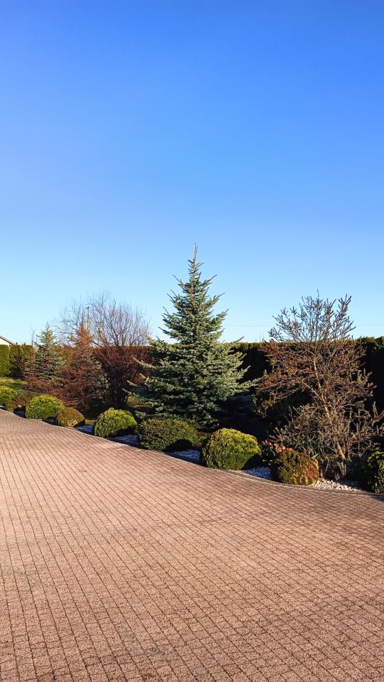 dom wolnostojący, 5 pokoi Michałów, Michałów. Zdjęcie 19