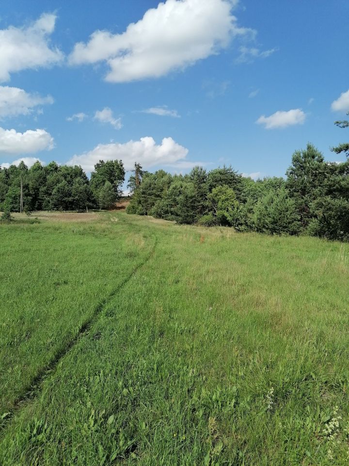 Działka rolno-budowlana Malamówka. Zdjęcie 4