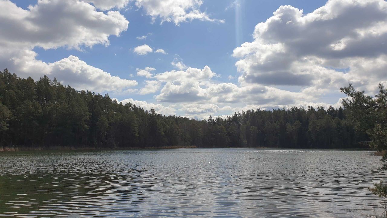 Działka rolna Wigrańce. Zdjęcie 4