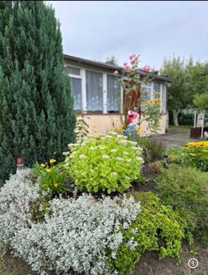 Działka rod Kalisz Szczypiorno, ul. Pogodna. Zdjęcie 2