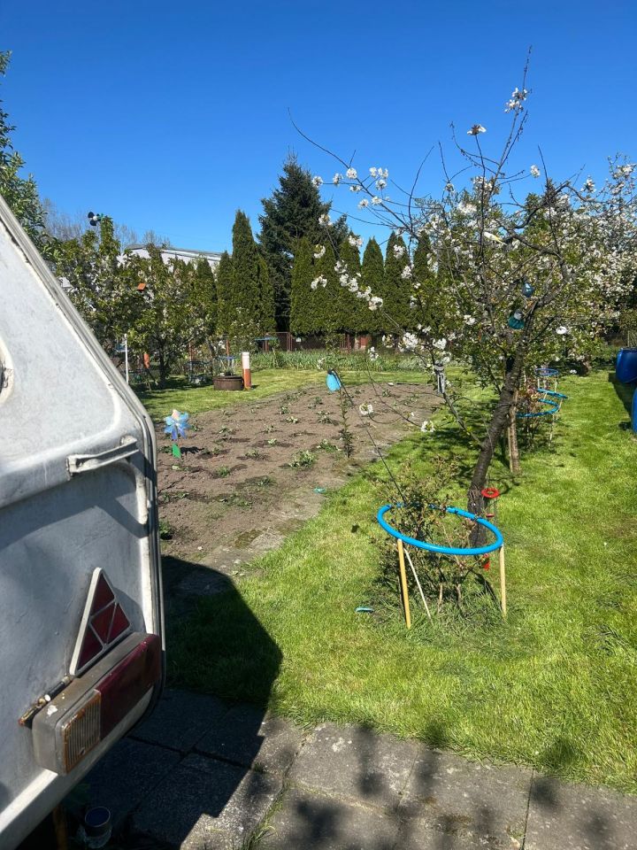 Działka rod Koszalin Centrum, ul. Mieszka I. Zdjęcie 2
