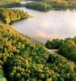 Działka rekreacyjna Silnowo, ul. Leszczynowa. Zdjęcie 3