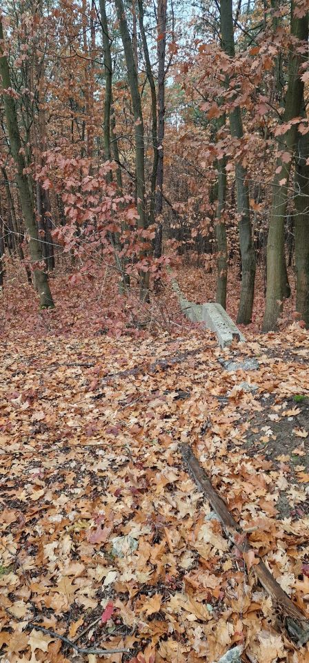 Działka budowlana Warszawa Falenica, ul. Techniczna. Zdjęcie 6