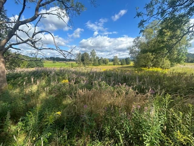 Działka siedliskowa Łomnica, ul. Karpnicka. Zdjęcie 1