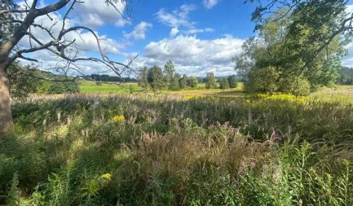 Działka siedliskowa Łomnica, ul. Karpnicka