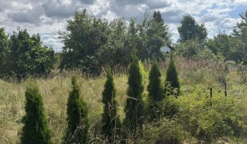 Działka rod Osiek, ul. św. Katarzyny