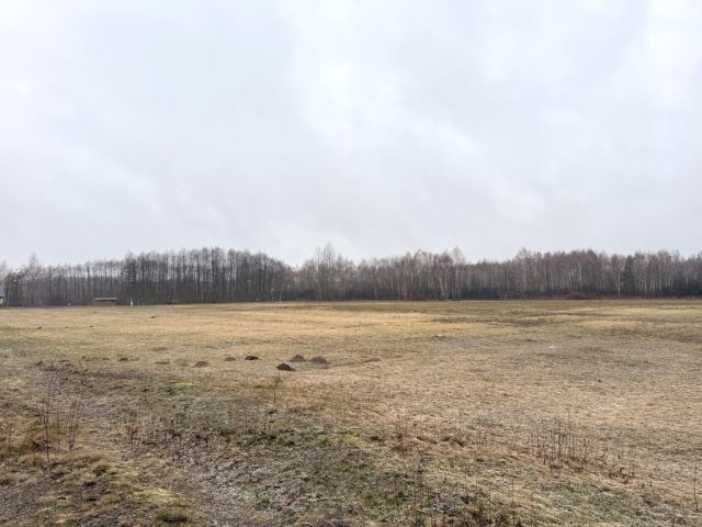 Działka inwestycyjna Borek Wielki. Zdjęcie 6