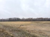 Działka inwestycyjna Borek Wielki. Zdjęcie 4