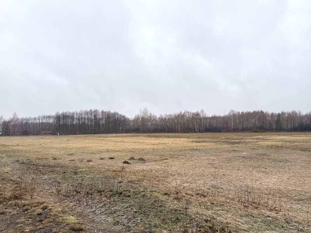 Działka inwestycyjna Borek Wielki. Zdjęcie 6