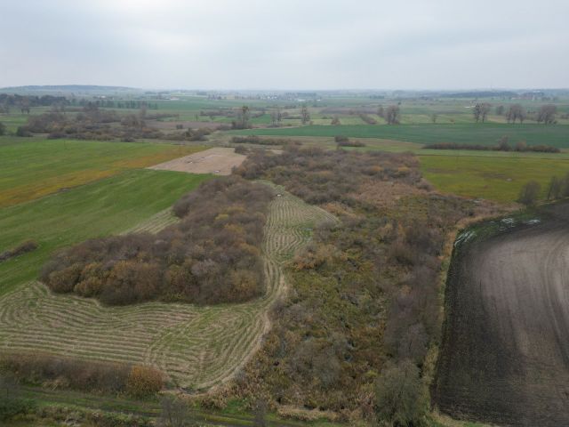 Działka rolna Jabłowo Pałuckie. Zdjęcie 1