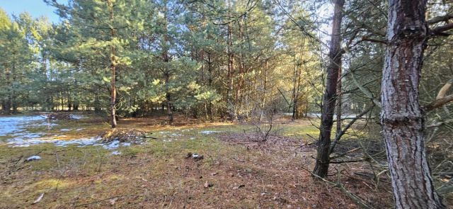 Działka budowlana Drogoszowice. Zdjęcie 4