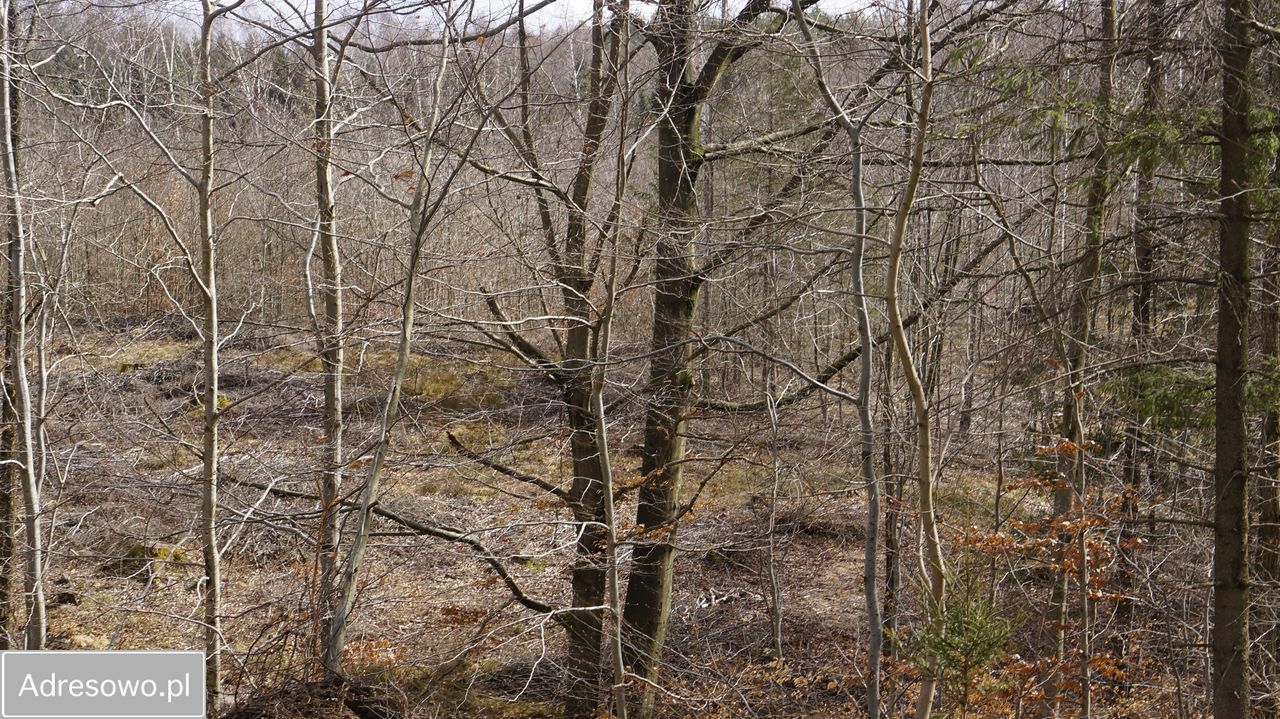 Działka budowlana Spręcowo. Zdjęcie 8