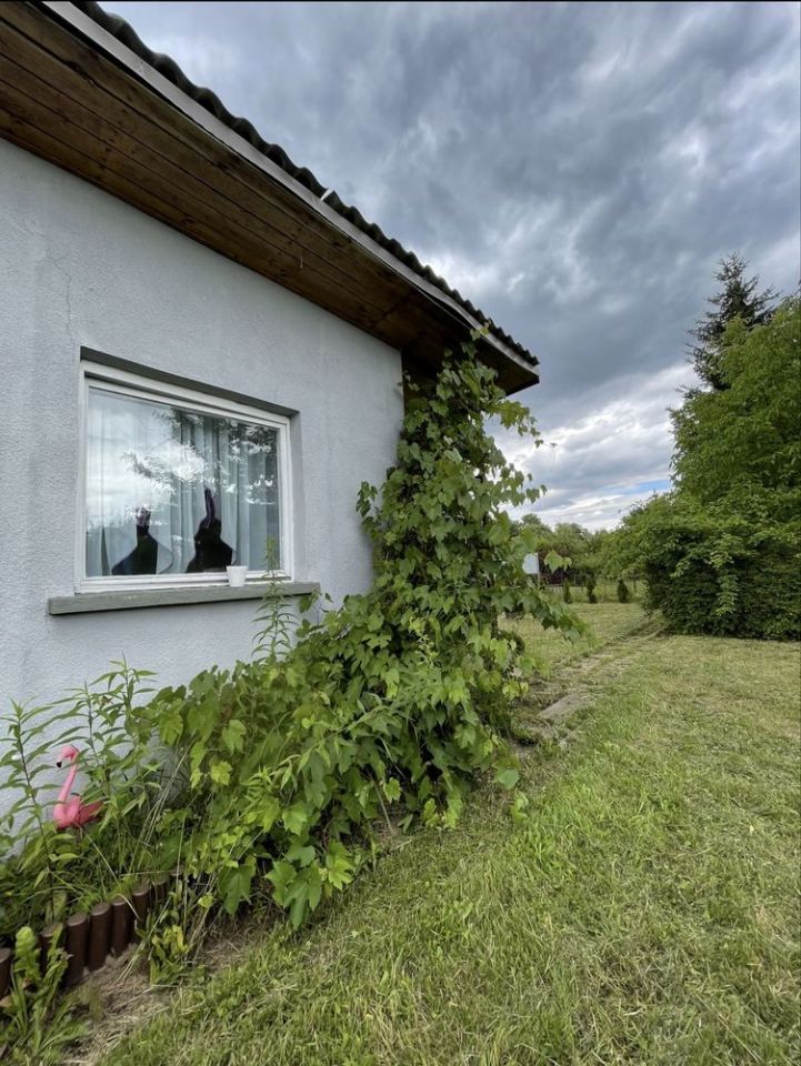 Działka rod Zawiercie, ul. Jałowcowa. Zdjęcie 5