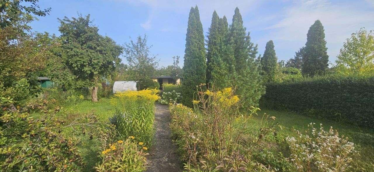 Działka rod Tczew Centrum. Zdjęcie 5