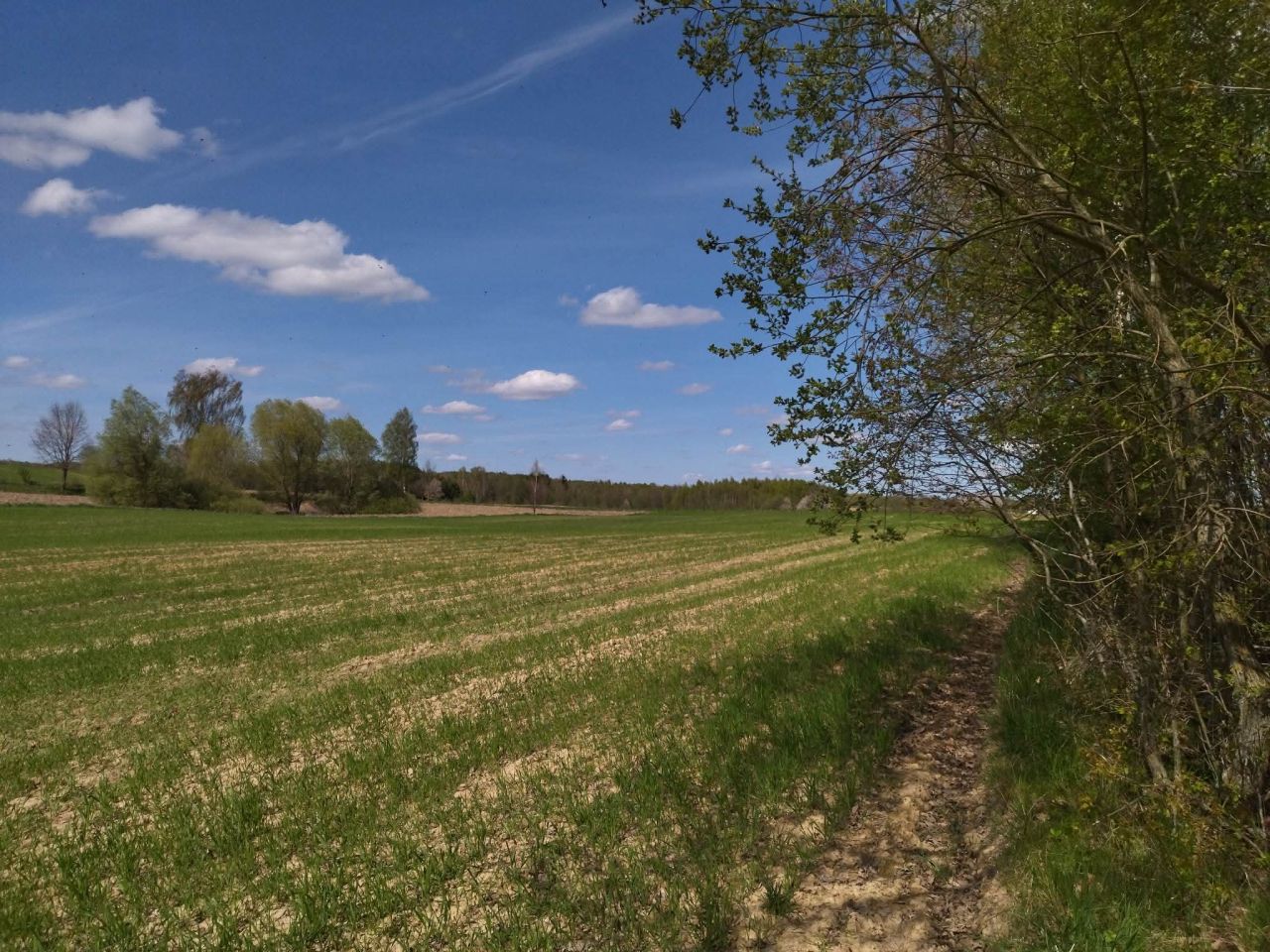 Działka budowlana Łączno. Zdjęcie 16