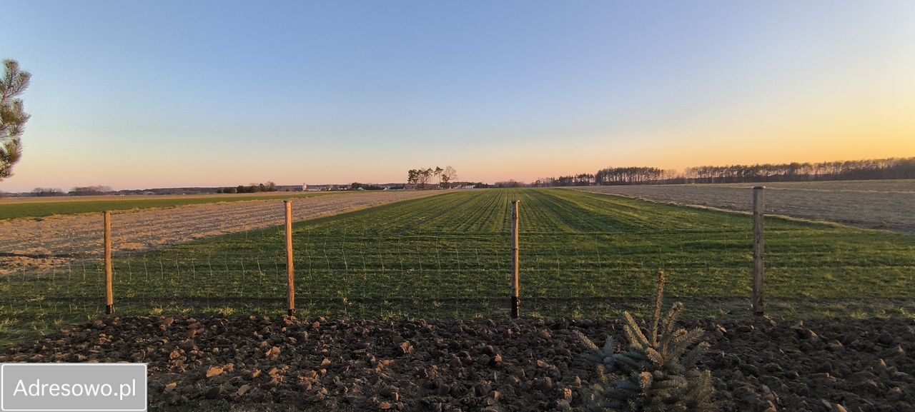 dom wolnostojący, 5 pokoi Borkowice. Zdjęcie 3