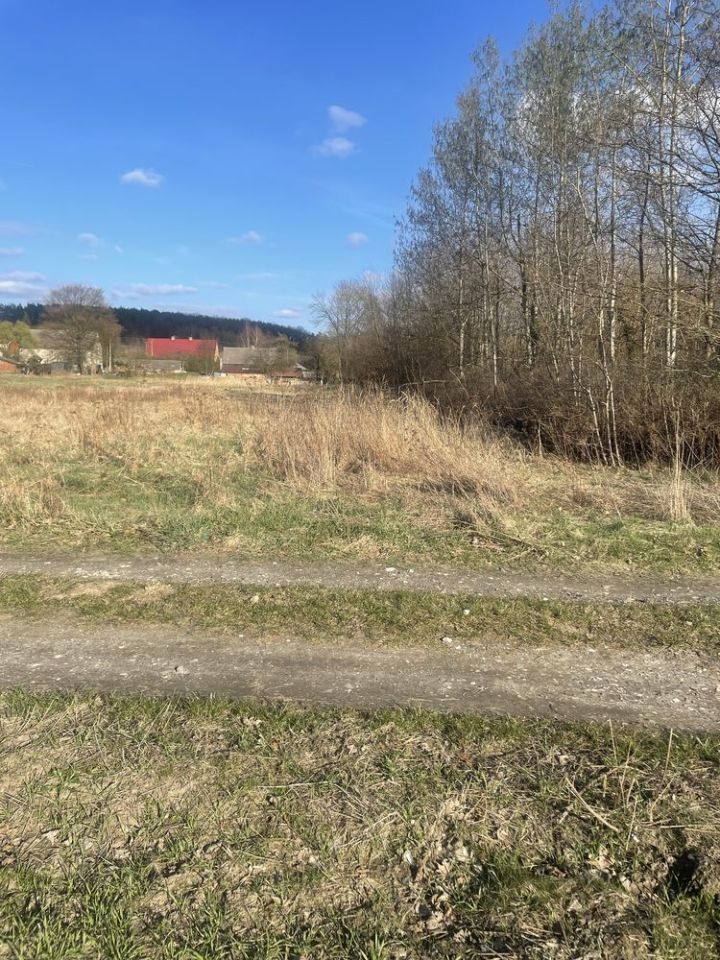 Działka budowlana Drągowina, ul. Lisia. Zdjęcie 6