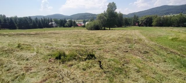 Działka budowlana Wysowa-Zdrój. Zdjęcie 1