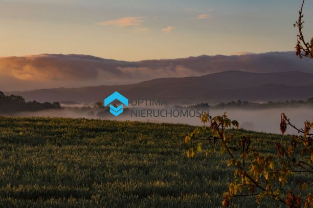 Lokal Dziwiszów. Zdjęcie 13