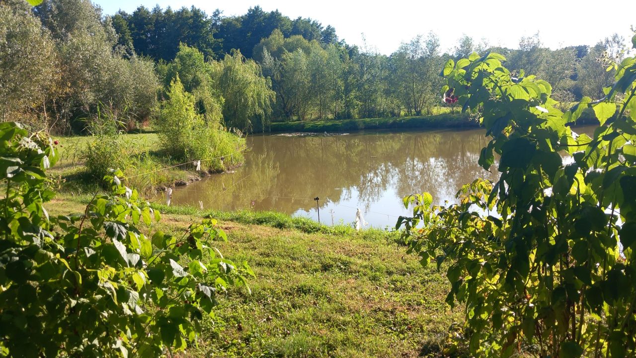 Działka inwestycyjna Krężoły, ul. Ziołowa. Zdjęcie 3