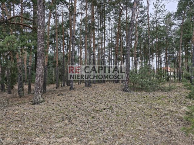 Działka inwestycyjna Adelin. Zdjęcie 4