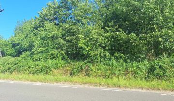 Działka rolna Tłuszcz Zakrzewie