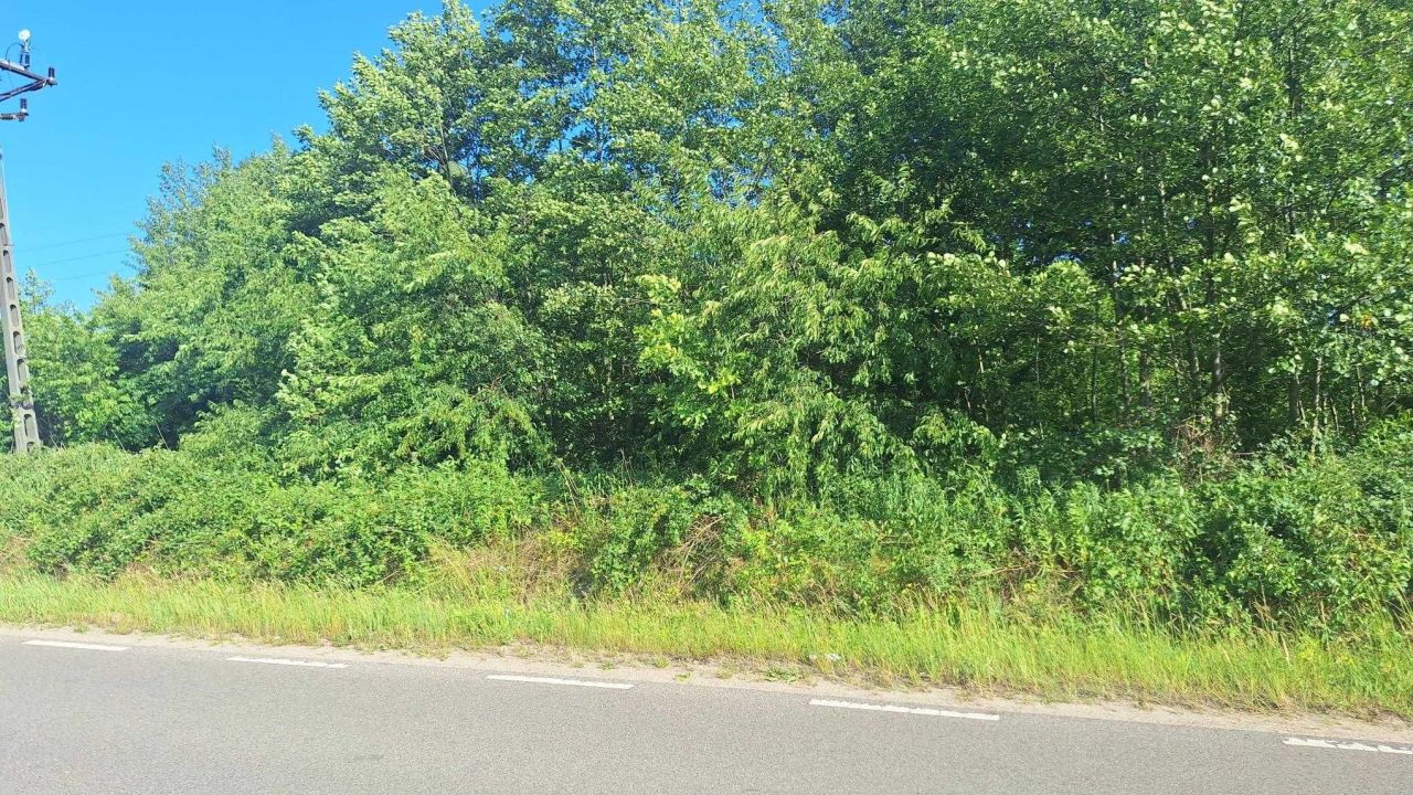 Działka rolna Tłuszcz Zakrzewie. Zdjęcie 2