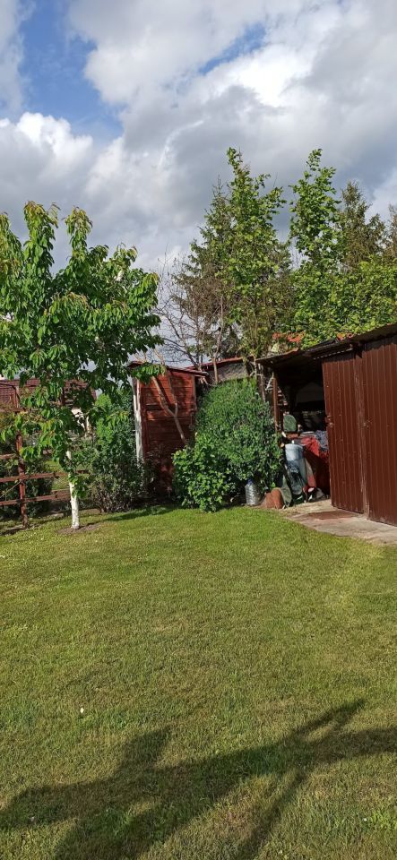 Działka rod Płock, ul. Dobrzyńska. Zdjęcie 14