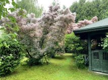 Działka rekreacyjna Młynarze, Młynarze. Zdjęcie 3