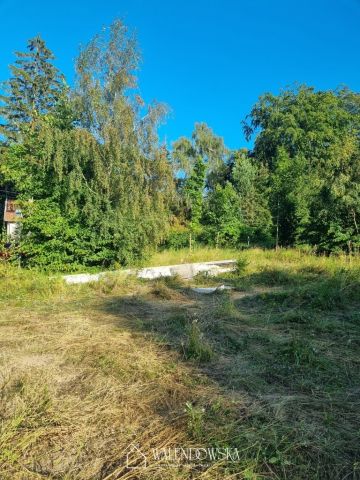 Działka rolna Suchacz. Zdjęcie 2