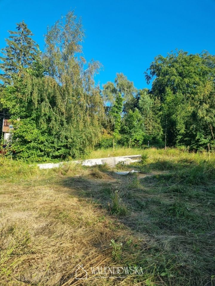 Działka rolna Suchacz. Zdjęcie 2