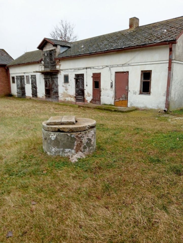 gospodarstwo Modrzewek. Zdjęcie 3