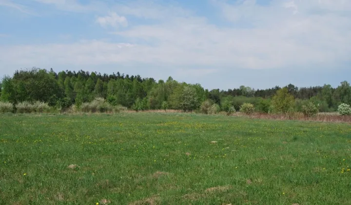 Działka budowlana Lipiny