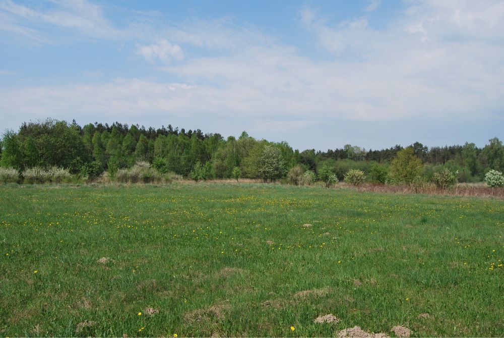 Działka budowlana Lipiny