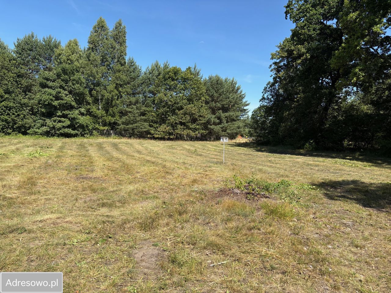Działka budowlana Arciechów. Zdjęcie 2