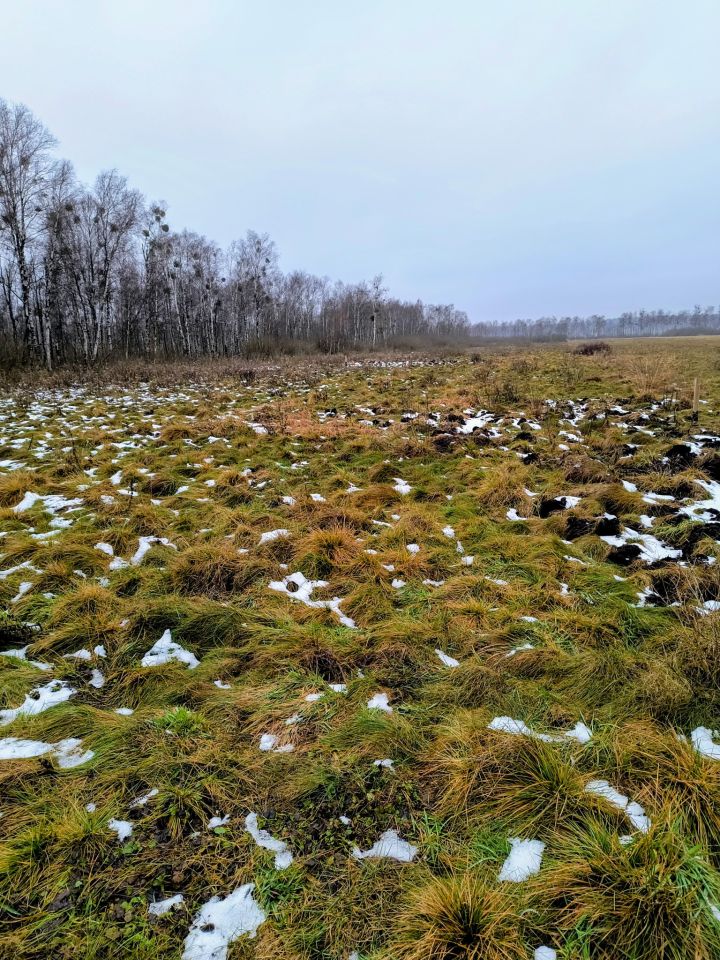 Działka rolna Karwik. Zdjęcie 3
