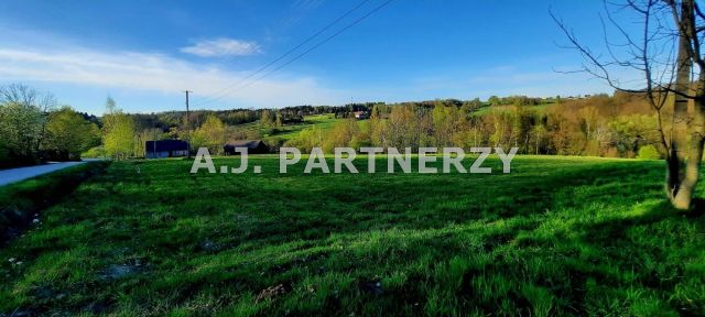 Działka Grabie. Zdjęcie 7