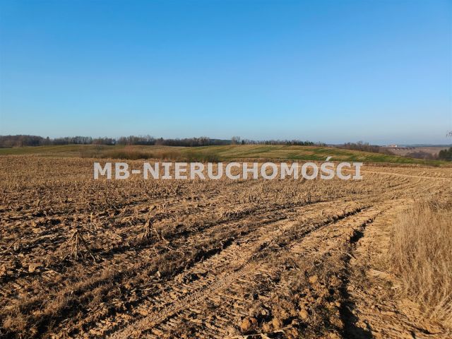 Działka rolna Grabnik. Zdjęcie 8