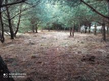 Działka rolna Bocheniec. Zdjęcie 1